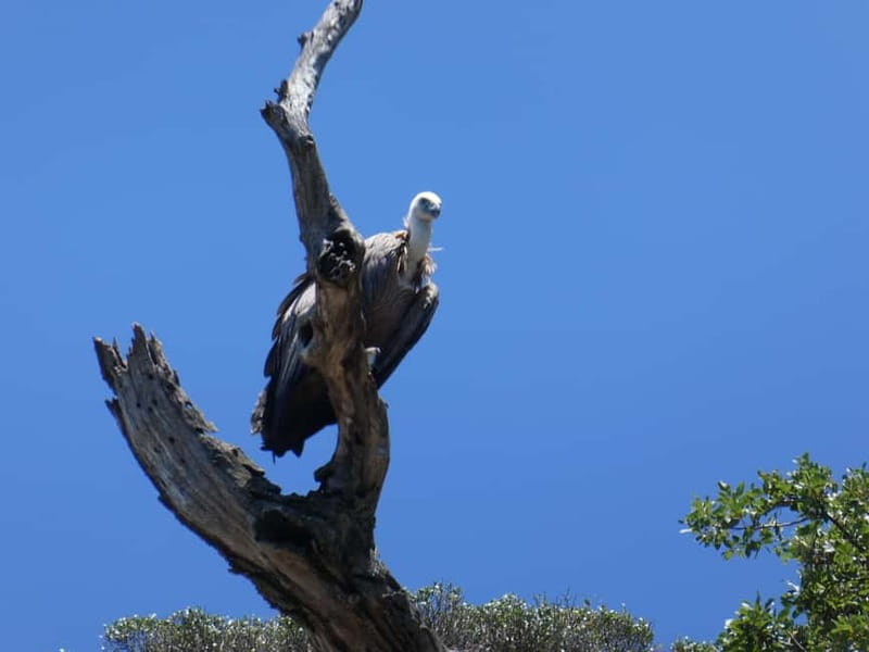 Punat: Stara Baška Wild Bays Private 3,5 h trip - Who should book this Punat boat trip?