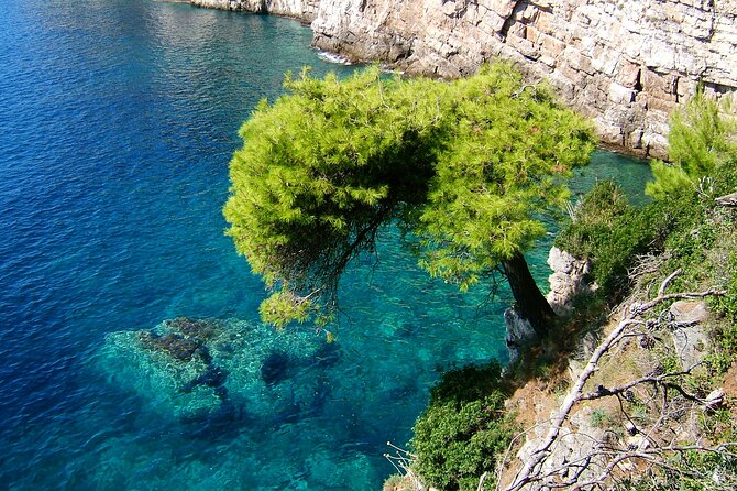Rent a Boat! (Group Option - Half Day) - Who will enjoy this charter most