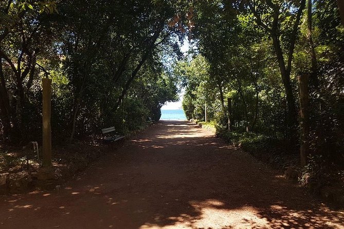 Rent a speed boat and explore beaches and coves of Elaphiti Islands - What the speedboat ride is really like