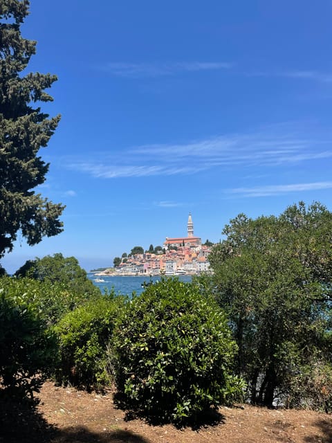 Rovinj: BUBA SUNSET KAYAK, snorkeling&driknks incuded - Golden Cape at Golden Hour