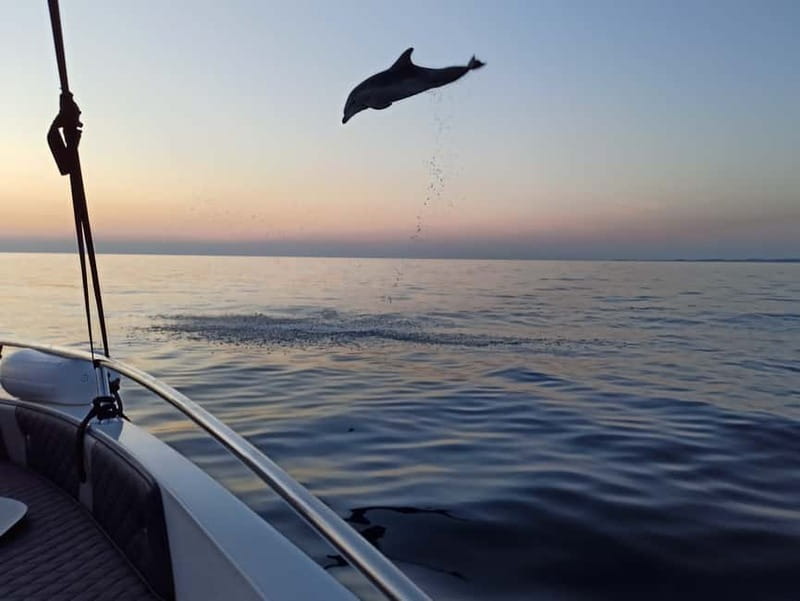 Rovinj: Dolphin Watching Sunset Speedboat Tour with Drinks - Weather, cancellation, and practical timing