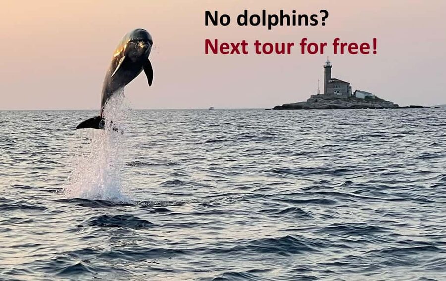Rovinj: Dolphin Watching Sunset Speedboat Tour with Drinks - What makes this Rovinj dolphin tour different