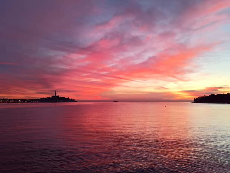 Rovinj: Dolphin Watching Sunset Speedboat Tour with Drinks - Is $72 a fair price?