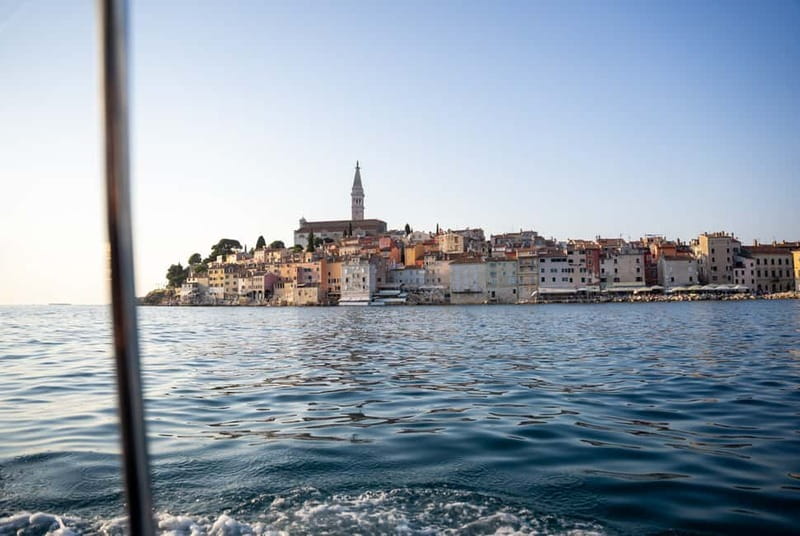 Rovinj: Dolphin Watching Sunset Speedboat Tour with Drinks - Who should book this experience?