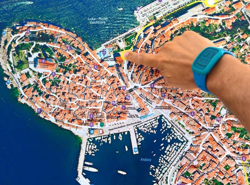 Rovinj: Guided Walking Tour - Carera Street and the money behind the old town