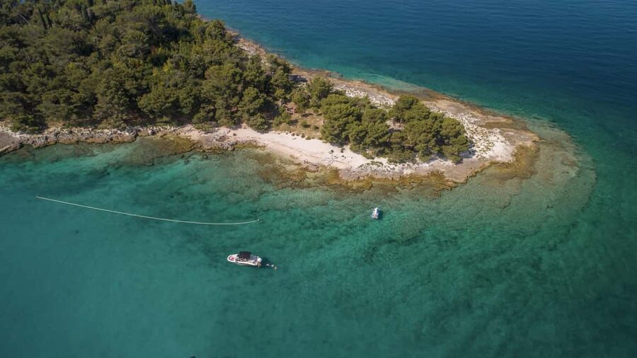 Rovinj or Vrsar: Lim Fjord & Rovinj islands Speedboat Tour - Dolphins, Snorkeling, and the Best Time to Go
