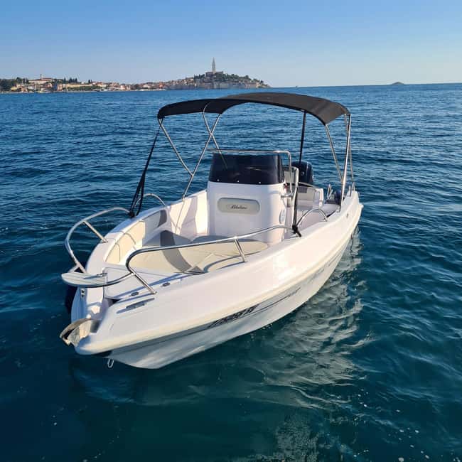 Rovinj: Shared Dolphin and Sunset Tour with Drinks - What the $50 price includes