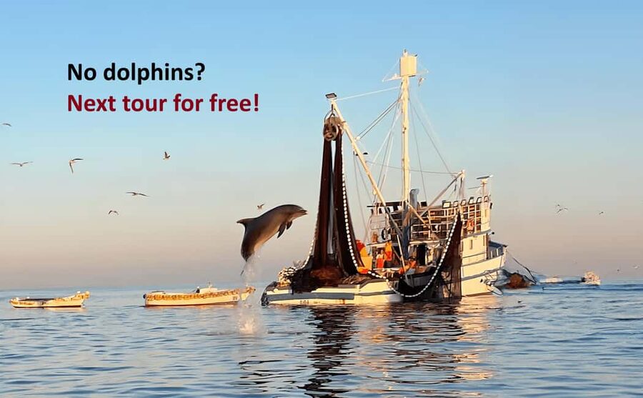 Rovinj: Sunrise Dolphins & Fishermen at Work Speedboat Tour - Why this dolphin trip feels different from a standard boat ride