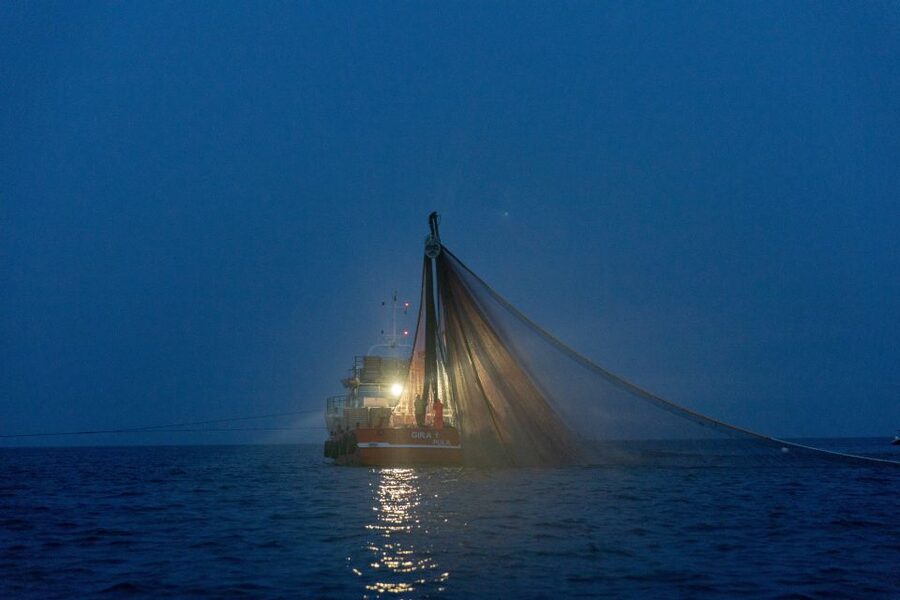 Rovinj: Sunrise Dolphins & Fishermen at Work Speedboat Tour - Practical limits you should take seriously