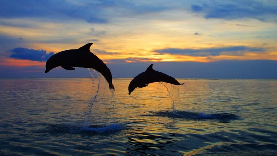 Rovinj: Sunset Speedboat Tour with Dolphin Watching - Sunset colors over the Adriatic