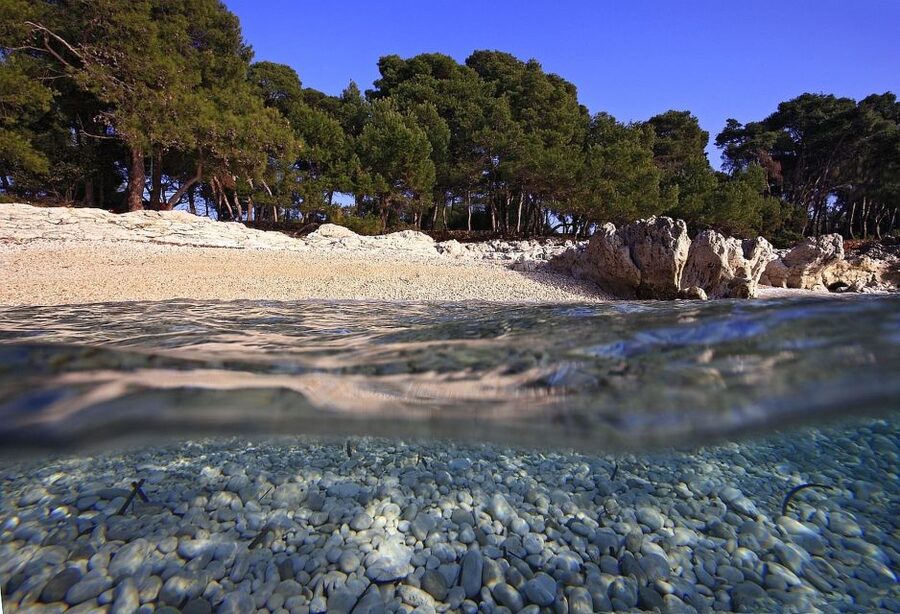 Sakarun Beach Full-Day Guided Tour from Zadar - Weather and practical planning