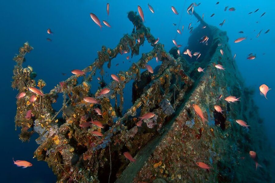 Scuba Diving in Dubrovnik: 1 Dive for Certified Divers - What this Dubrovnik scuba outing is really like