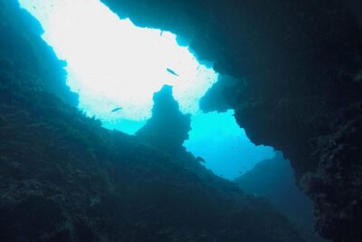 Scuba Diving in Dubrovnik: 1 Dive for Certified Divers