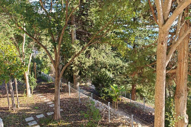 Secret Marjan Park Hiking Tour in Split - Beaches below the walking trails