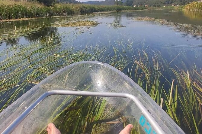 See through kayaks on Gacka river - Birds, trout, and plant life along the way