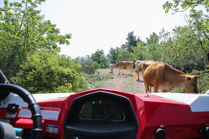 Self-drive Off Road Buggy - Getting to the top of Mount Srđ