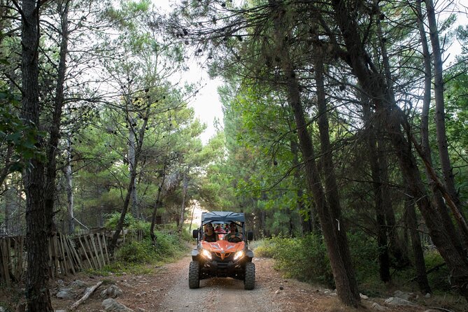 Self-drive Off Road Buggy - Is $60.47 a fair price?