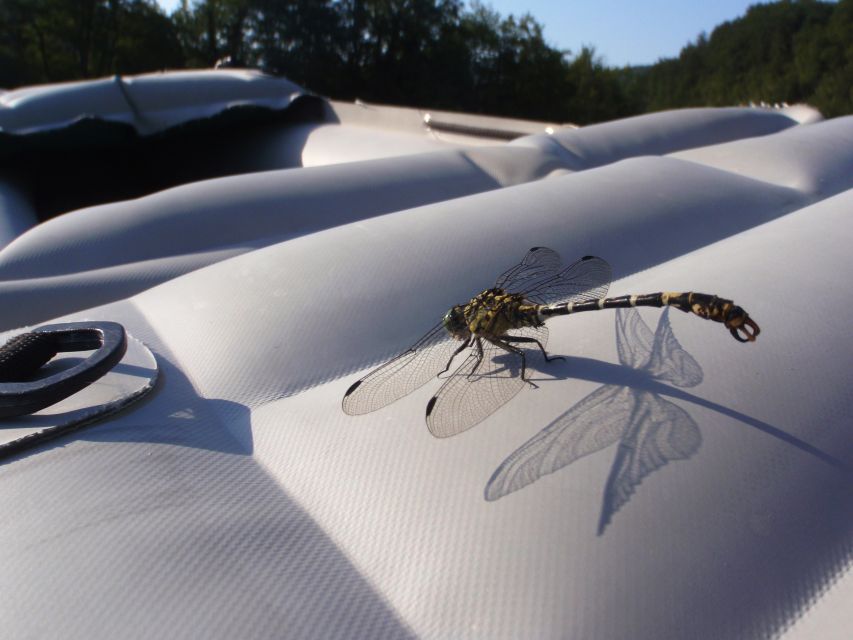 Severin na Kupi: Canoeing and Kayaking on the Kupa River - How long the four-hour schedule really feels