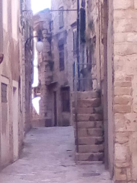Šibenik walking tour in one hour! - Timing, transfers, and practical planning