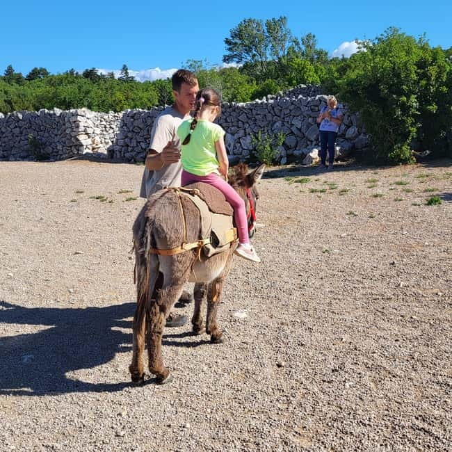 Šmrika (near Rijeka/Krk/Crikvenica) Donkey Farm Family Fun - The unusual carriage drive for adults and children