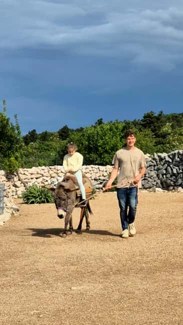 Šmrika (near Rijeka/Krk/Crikvenica) Donkey Farm Family Fun - A short educational walk through the farm