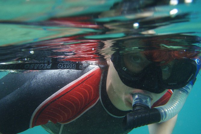 Snorkeling tour Makarska Riviera, islands of Hvar or Brač - Choosing between Hvar, Brač, and the Riviera