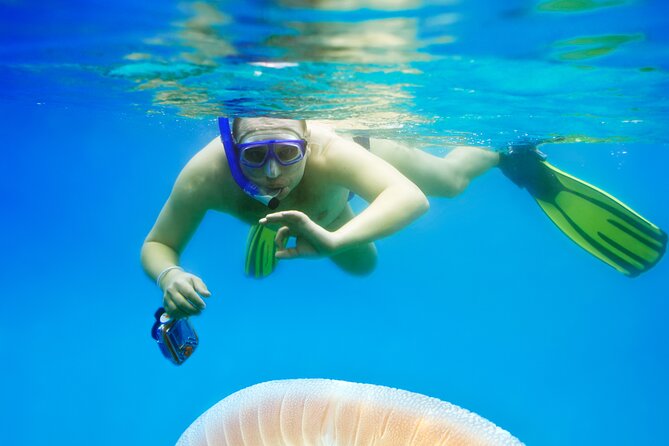 Snorkeling tour Makarska Riviera, islands of Hvar or Brač - Timing, fitness, and weather