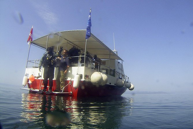 Snorkeling tour Makarska Riviera, islands of Hvar or Brač - What you can see beneath the surface
