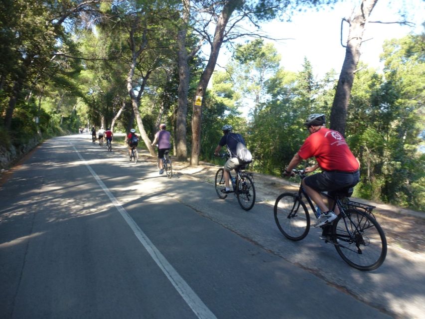 Split 3-Hour Guided Bike Tour - Sustipan, cliffs, and the return beside the sea