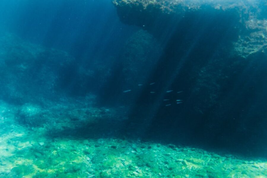 Split: 45-minute Semi-Submersible Submarine Trip - Who Will Enjoy Marijeta Most?