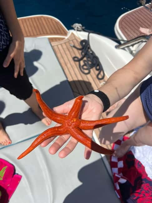 Split: 5 Islands Full-Day Tour to Blue Cave, Vis & Hvar - Key points at a glance