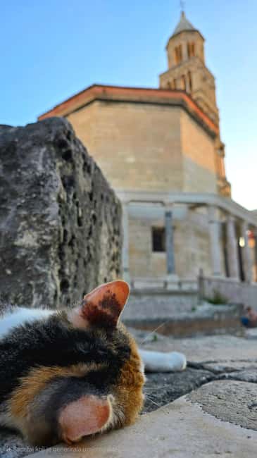 Split and Diocletian's Palace walking tour with a local guid - Starting by the Riva and the palace cellars