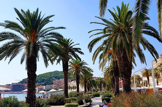 Split and Ston private tour or transfer - The private vehicle is the practical advantage
