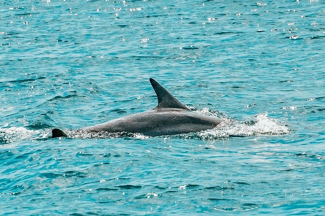 Split: Blue Lagoon & 3 Island Cruise with Wine & Snorkeling - Blue Lagoon means swimming first