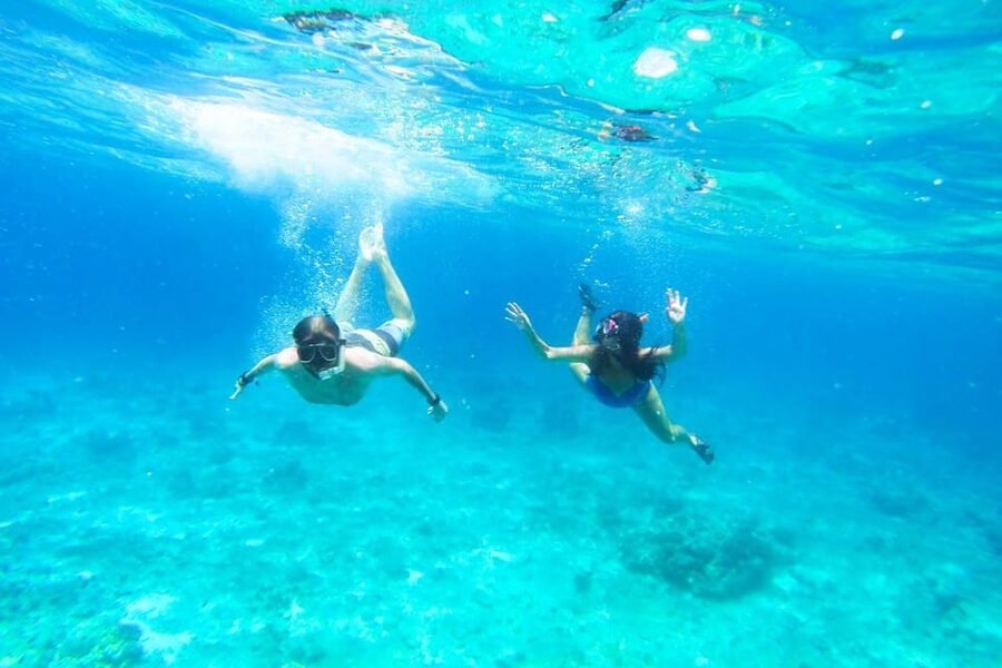 Split: Blue Lagoon, Hvar and 5 Islands Small Group Boat Tour - Milna on Brač, a gentle first stop