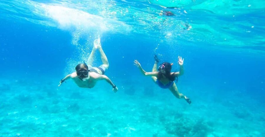 Split: Blue Lagoon, Hvar and 5 Islands Small Group Boat Tour - Pakleni Islands, the first major swim stop