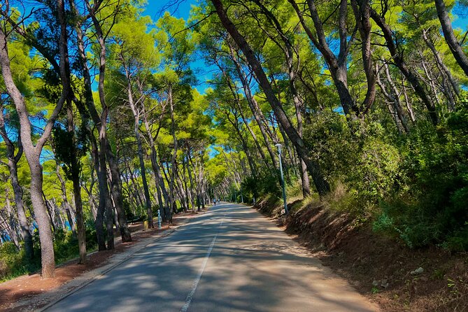 Split by Private Electric Rickshaw - Palace & Hidden Gems - Meštrović, beaches, and coastal views