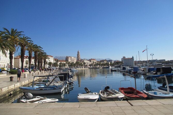 Split by Private Electric Rickshaw - Palace & Hidden Gems - The guides are a major part of the value
