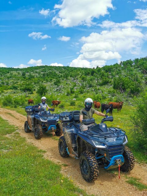 Split: Dalmatian Quad Tour with River Swimming & Picnic - Rocky Tracks, Open Fields, and Mountain Views