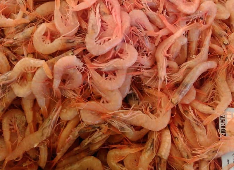 Split: Food Tasting Walking Tour - Peškarija and the Dalmatian marenda