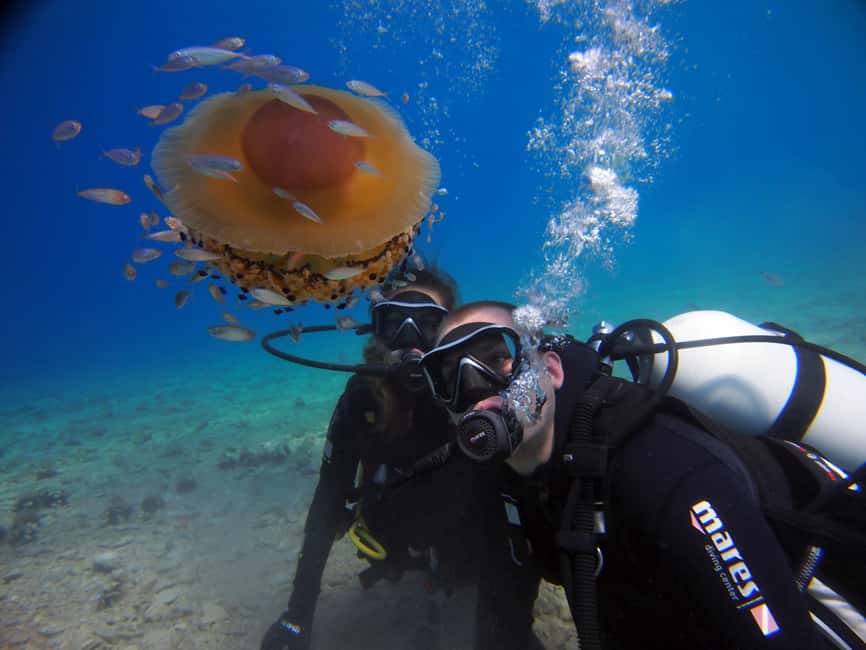 Split-Makarska-Brela Try SCUBA Dive - Entering the Adriatic From the Beach