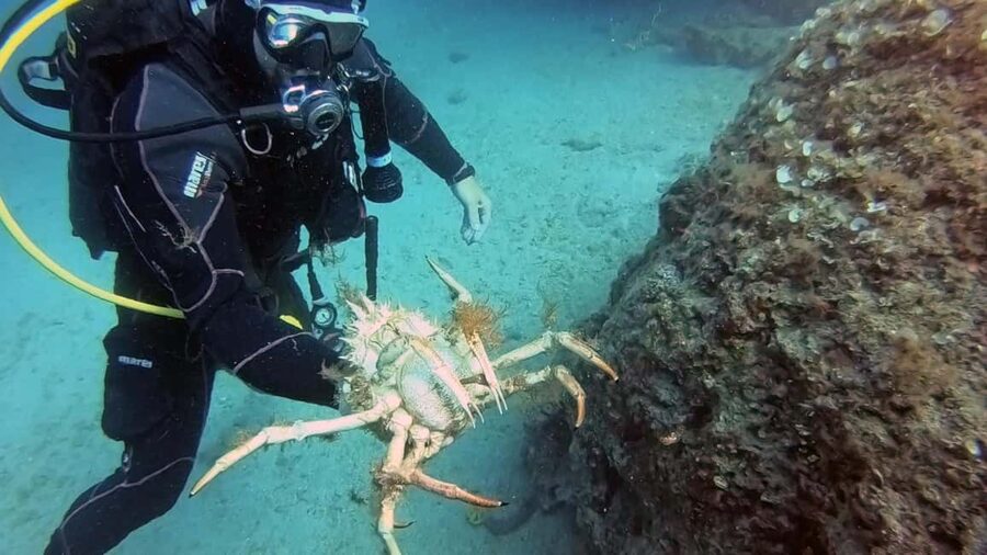 Split-Makarska-Brela Try SCUBA Dive - At Least 45 Minutes Below the Surface