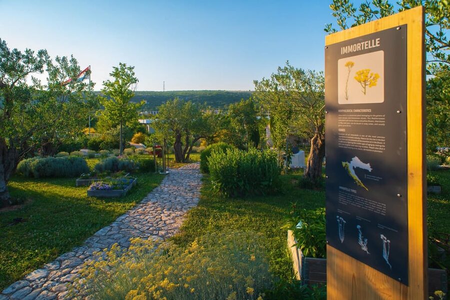 Split: Olive museum Klis with Olive Oil Tasting - Key points to know before you go