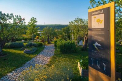 Split: Olive museum Klis with Olive Oil Tasting