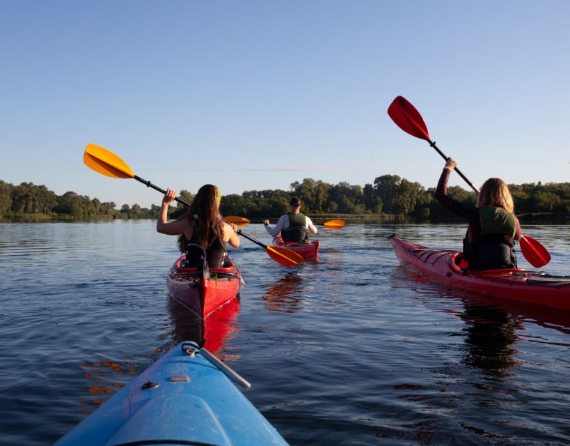 Split/Omiš - Guided Kayaking & Snorkeling Tour Cetina River - Swimming and snorkeling near the end of the route