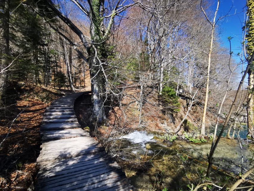 Split: Plitvice Lakes Guided Day Tour with Entry Tickets - The Lower Lakes and the 78-meter Great Waterfall