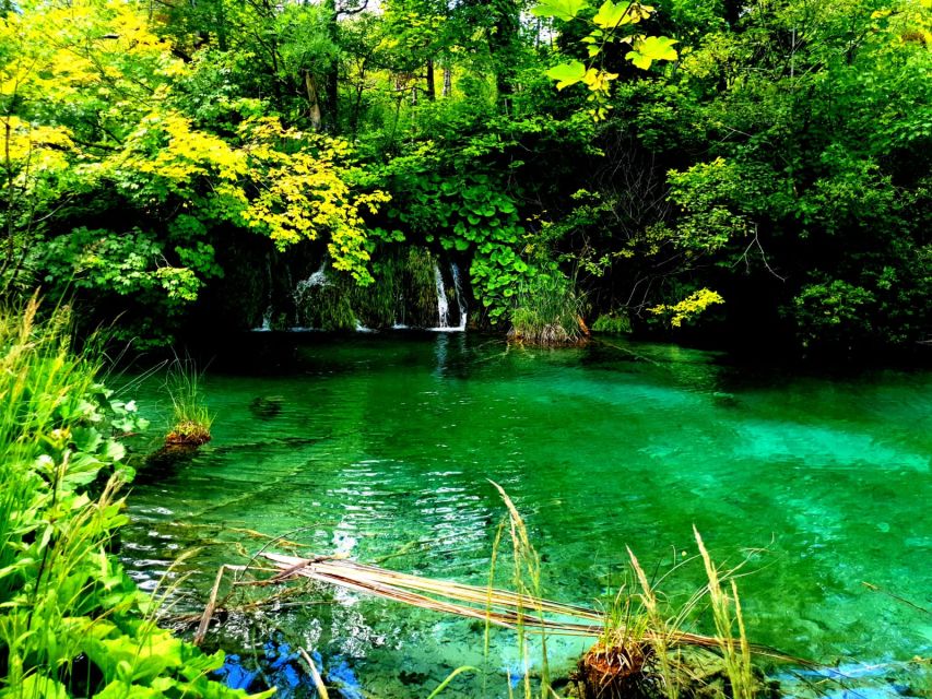 Split: Plitvice Lakes Guided Day Tour with Entry Tickets - The bus ride and café breaks