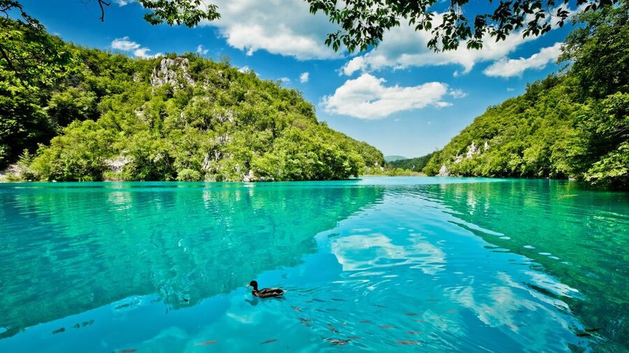 Split: Transfer to Zagreb with Plitvice Lakes Entry Tickets - How much walking should you expect?