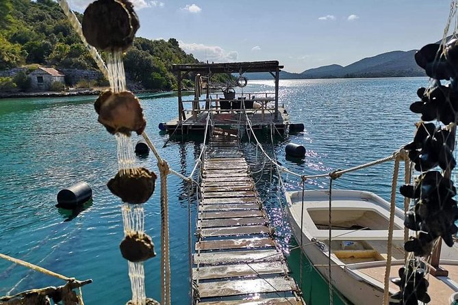 Ston Gastro Tour - Why the Ston coast makes a good food day from Dubrovnik