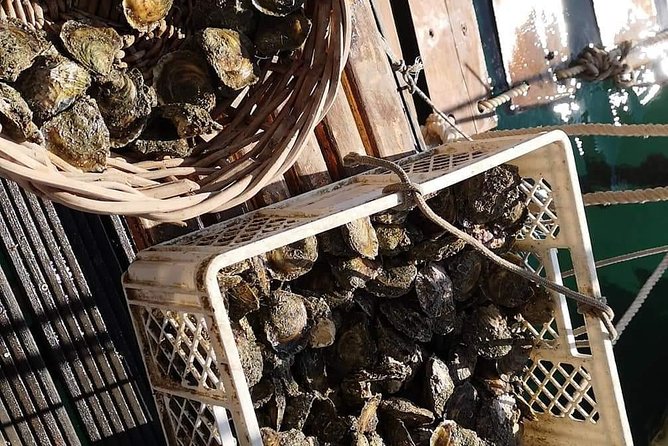 Ston Gastro Tour - What the guide adds to the day